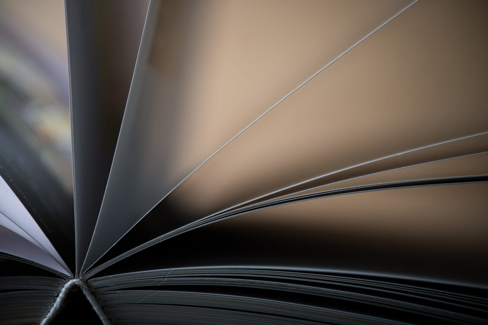 close-up-of-opened-book-on-wooden-table-education-concept